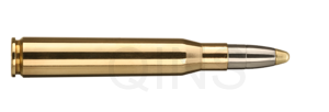 RWS 8x68 S EVO 13,0g