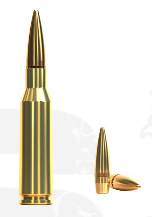 Náboj SB 5,45x39 FMJ 3,9 g / 60 gr