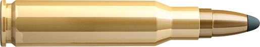 SB 308 WIN. - SPCE 11,70 g